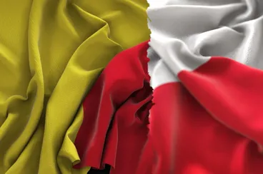 E-invoicing: Poland and Belgium are ready to go live